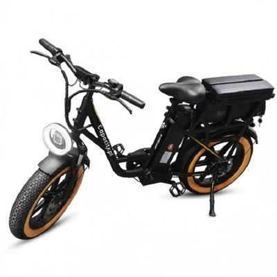 កង់អគ្គិសនី Ebike បុរាណ